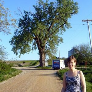 Tree in the Middle of the Road