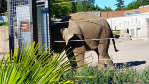 Oregon Zoo