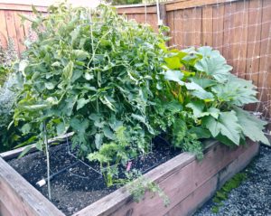 garden bounty