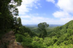 amicalola falls state park