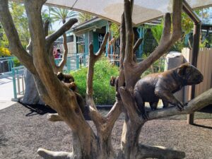 San Diego Zoo