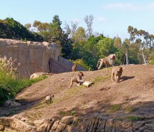 San Diego Zoo