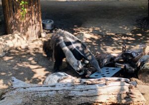 San Diego Zoo