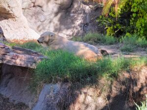 San Diego Zoo