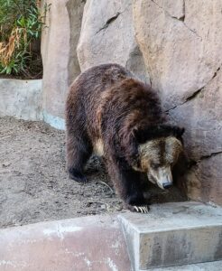 San Diego Zoo