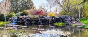 Dallas Arboretum