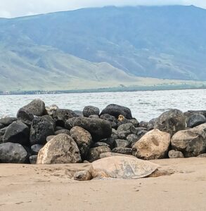 Kihei, Maui