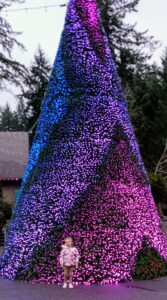 ZooLights at the Oregon Zoo