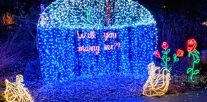 ZooLights at the Oregon Zoo