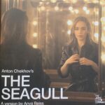 The Seagull