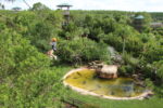 GatorLand